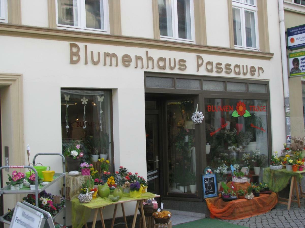 2 Ferienwohnungen Mitten In Der Innenstadt Greifswald Exterior foto